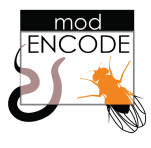 modencode